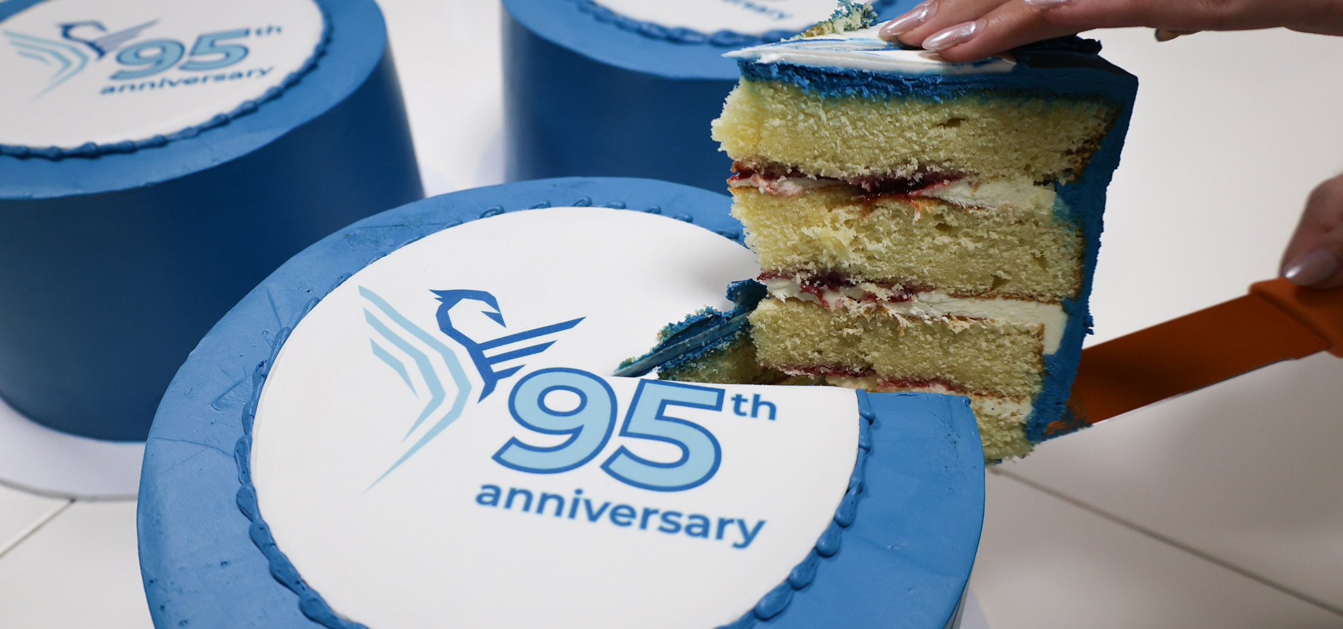 header-95-years